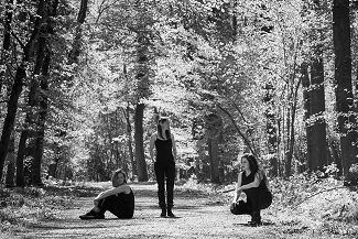 Ensemble_Vertebrae