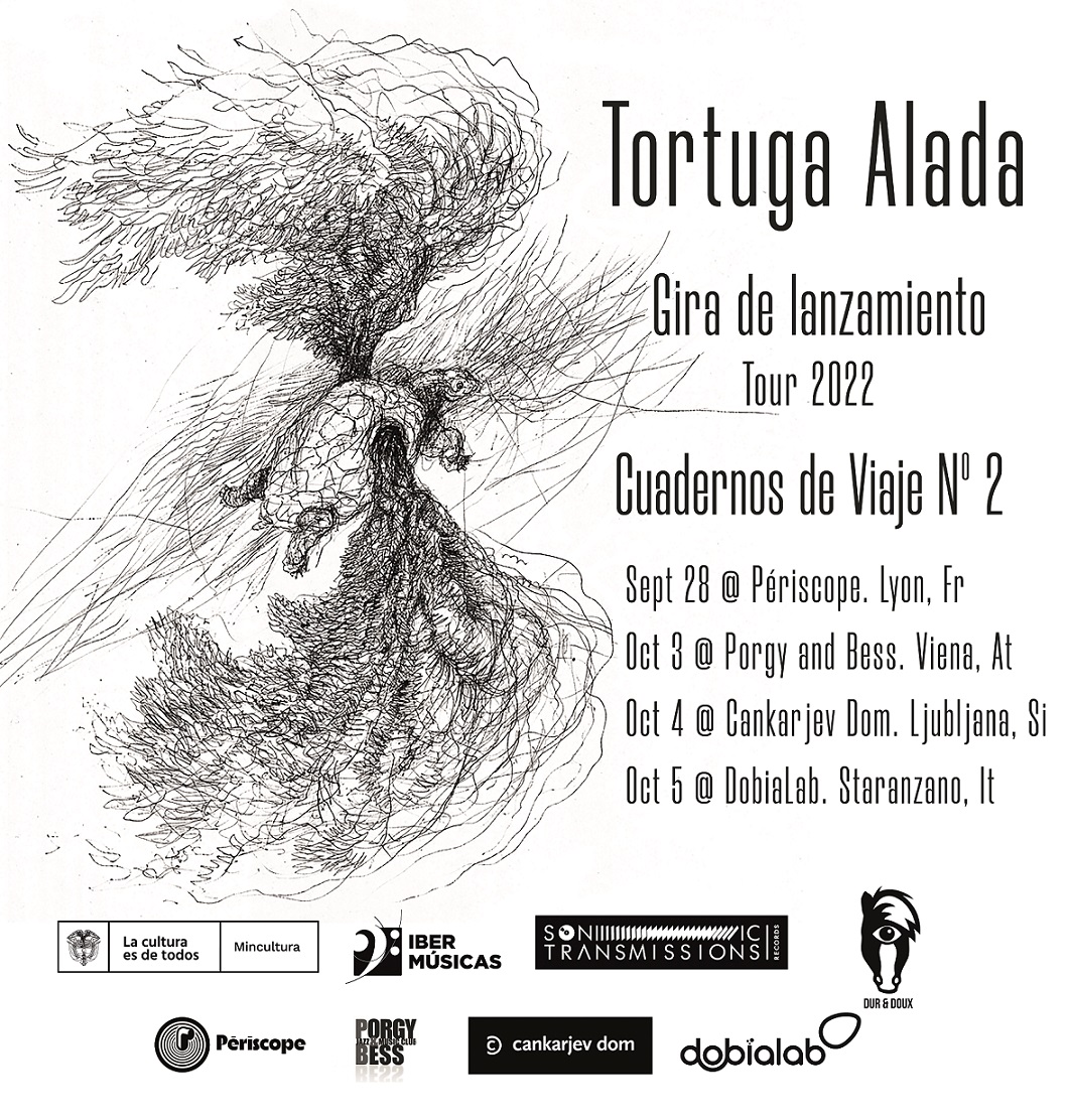 14 Tortuga Alada